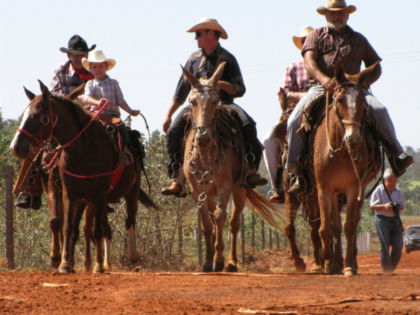 cavalgada_bahia