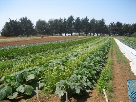 agroecologia