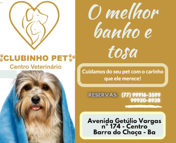 Onde Fazer Banho e Tosa Pet Shop Cidade Vargas - Pet Shop Perto de